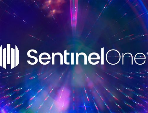 Report on SentinelOne Inc: The Other Security Company